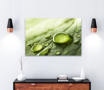 Obraz Kvapka rosy 1458